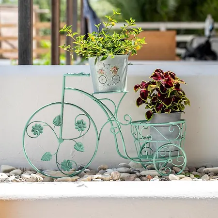 Horse - 5 Min To The 마르마리