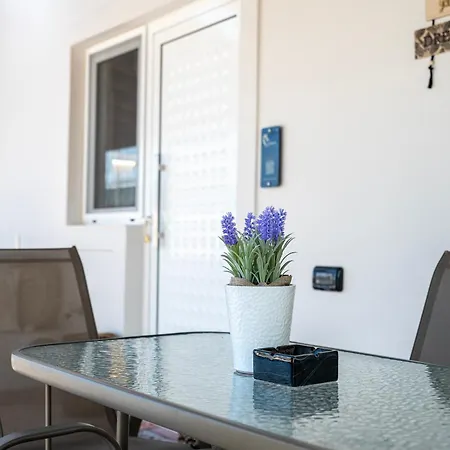 Horse - 5 Min To The