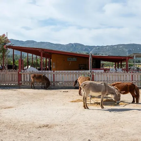 Horse - 5 Min To The Appartement *