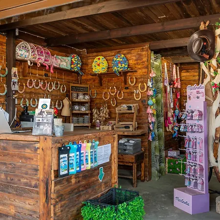 Horse - 5 Min To The