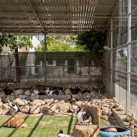 Horse - 5 Min To The * 마르마리