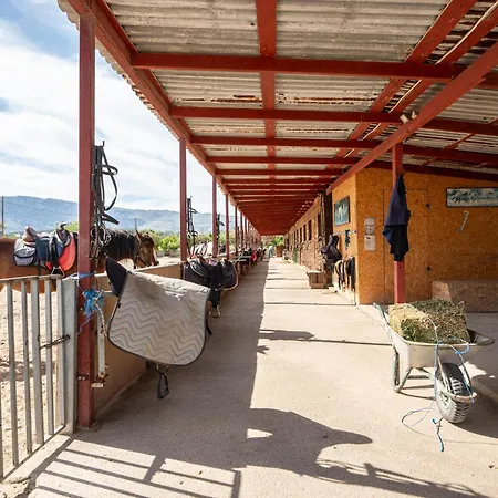 Horse - 5 Min To The 아파트