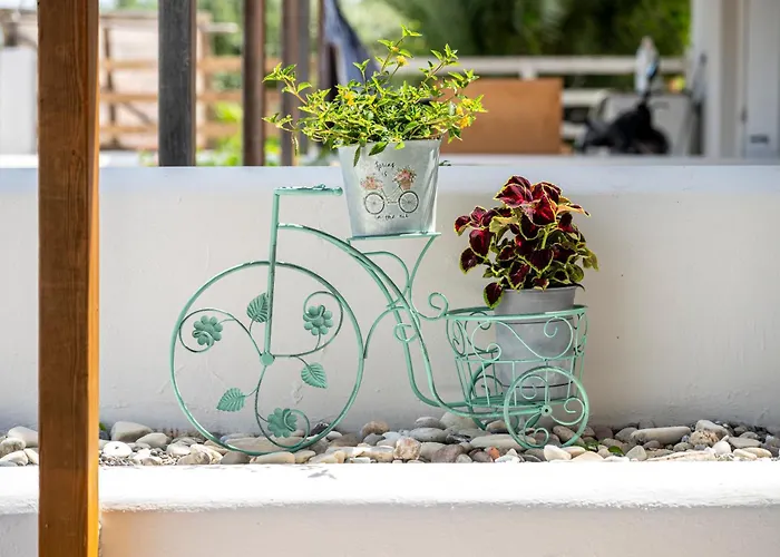 Horse - 5 Min To The Marmari (Kos)