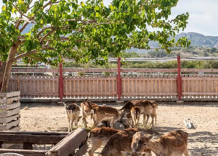 Horse - 5 Min To The *