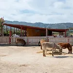 Horse - 5 Min To The Apartament *