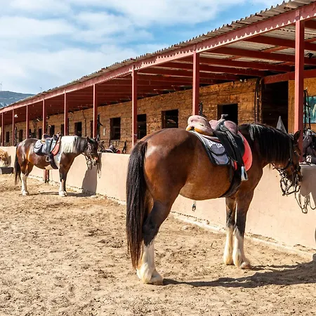 Horse - 5 Min To The شقة مارماري