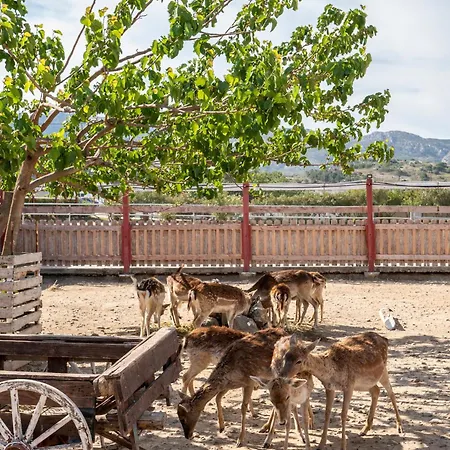 Horse - 5 Min To The *