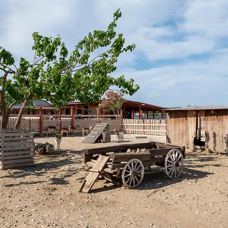 Appartement Horse - 5 Min To The *