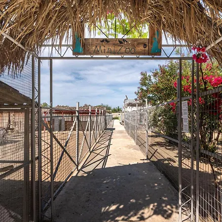 Appartement Horse - 5 Min To The Marmari (Kos)