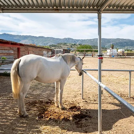 Horse - 5 Min To The Appartement *