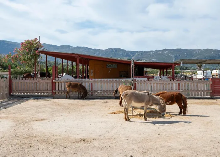 Horse - 5 Min To The Appartement *