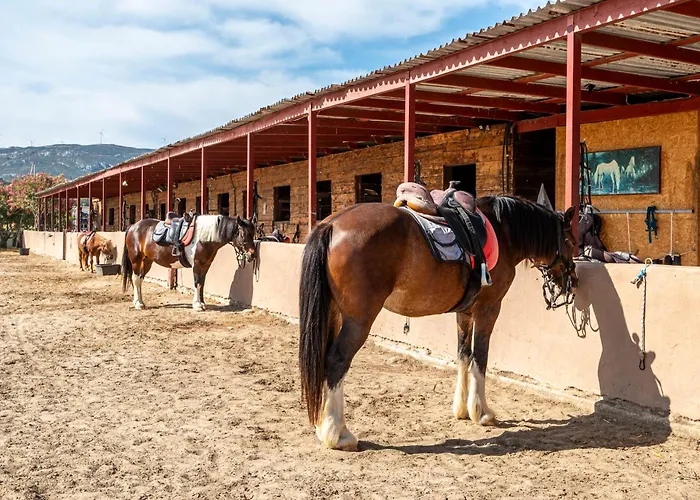 Horse - 5 Min To The Appartement Marmari (Kos)