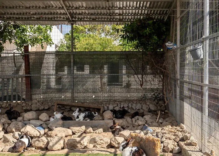 Horse - 5 Min To The * Marmari (Kos)