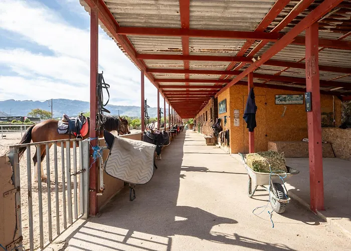 Horse - 5 Min To The Appartement