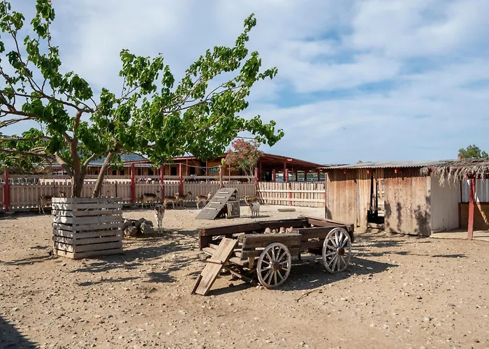 Appartement Horse - 5 Min To The *