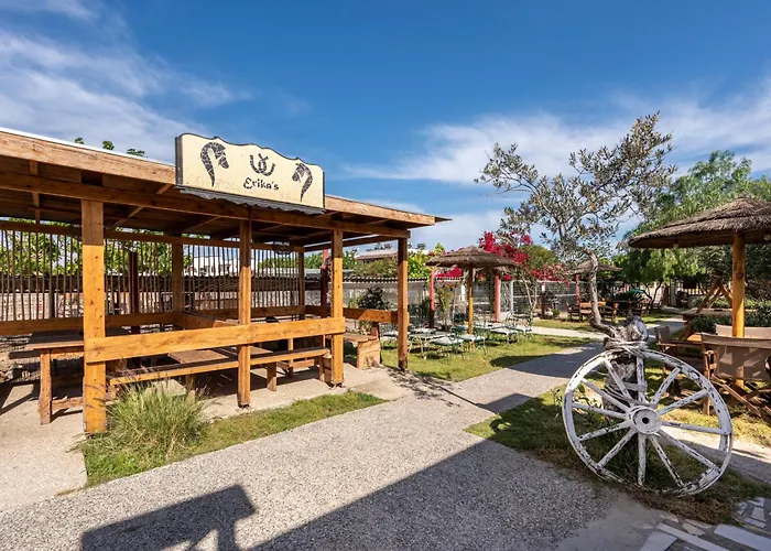 Horse - 5 Min To The Appartement *